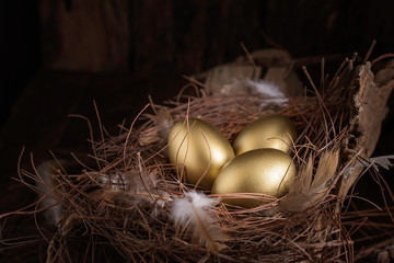 Golden eggs in nest on dark vintage