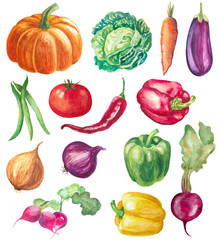 set of vegetables isolated on white. watercolor hand drawn illustration