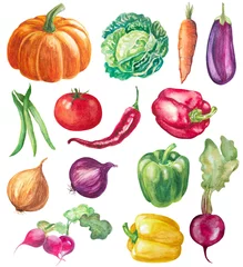 Photo sur Aluminium brossé Des légumes ensemble de légumes isolé sur blanc. illustration aquarelle dessinée à la main