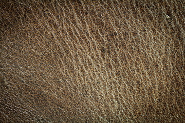 Leather texture background for industry export, fashion business, furniture design and interior decoration idea concept.