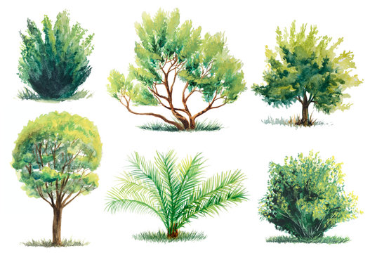 set of watercolor trees and bushes isolated on white