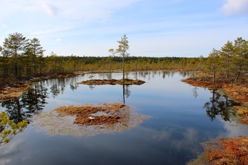 Lahemaa natinal park