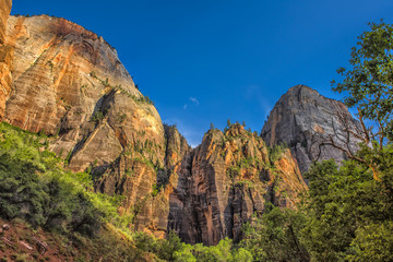 Red White Canyon Walls  Zion Canyon