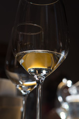 Wine tasting on winery, wineglass