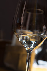 Wine tasting on winery, wineglass