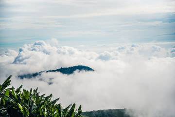 Obraz premium Fog over the mountains.In the rainy weather in the countryside