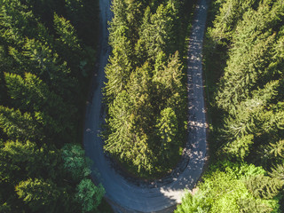 Aerial photo of forest and road 