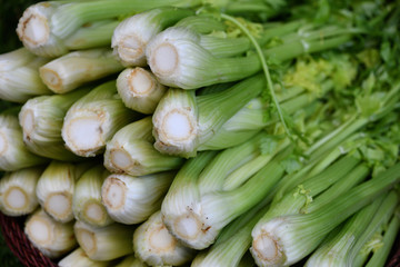 Frisches Gemüse vom Markt