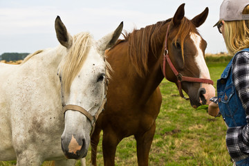 Pferde, mit Mädchen, Pferde füttern, Landleben, Bauernhof