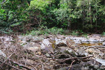 Thai dark tropical forest and rapid mountain river in Mu Koh Chang National Park, Chang island, Thailand. Path to the Khlong Phlu waterfall is littered with dry branches. Natural background.