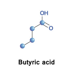 Butyric acid, or butanoic