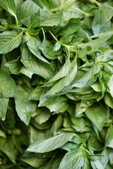 Frisches Gemüse vom Markt