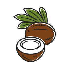 Delicious coconut with palm leaves isolated cartoon illustration