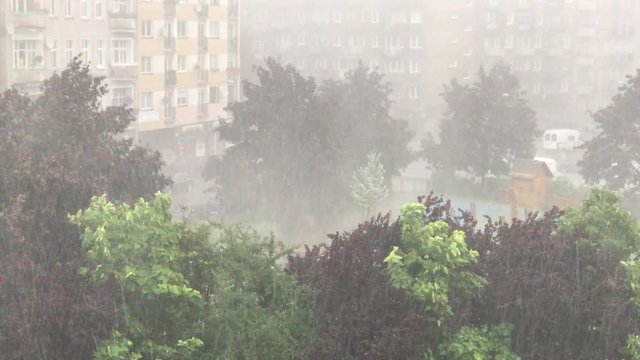 Scary urban storm. Very strong summer storm with close to hurricane force winds. Wroclaw in Poland