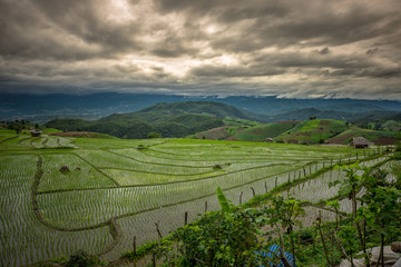 Rice terraces,Rice field on the mountain,Natural retreats,The life of the hilltribe