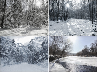 Collage of winter images