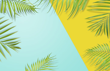 Feuilles de palmiers tropicaux sur fond jaune et bleu clair. Caractère minimal. Style d& 39 été. Mise à plat. La taille de l& 39 image est d& 39 environ 5 500 x 3 600 pixels