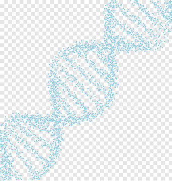 Blue DNA with polygon line on transparent abstract background