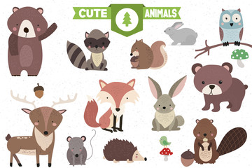 Collection of Cute Forest Animals