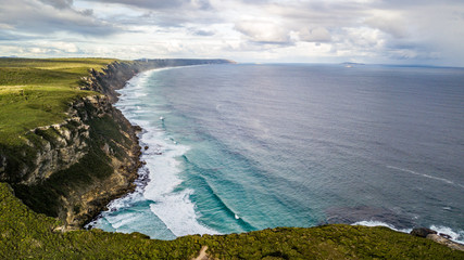 Cliffs of muttonbird