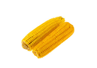 Corn cooked on a white background