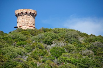 Naklejka premium Tour génoise Corse 
