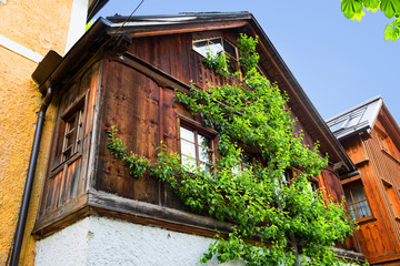 Fototapeta na wymiar Typical Austrian Alpine house with bright flowers, Hallstatt, Austria, Europe