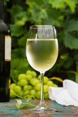 Wine bottle and wine glass with ice cold white wine, outdoor terrace, wine tasting in sunny day, green vineyard garden background.