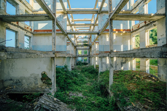 Overgrown Ruins Of House Or Industrial Building 