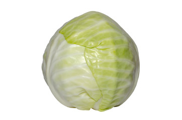 Fresh green cabbage