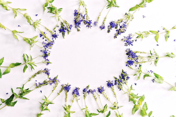 Circle shape frame with violet field flowers