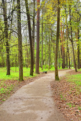 Fototapeta na wymiar Walkway at Traku Voke public park in Vilnius Baltic