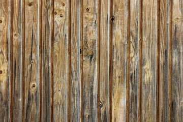 Fototapeta premium Wood board texture
