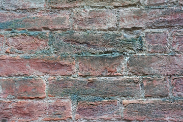 Old brick wall texture at Siena