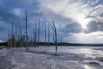 Abendstimmung beim Lower Geyser Basin,  im Yellowstone Nationalpark, Wyoming