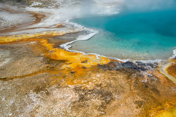 Mikroorganismen färben das Wasser im  Yellowstone Nationalpark, Wyoming