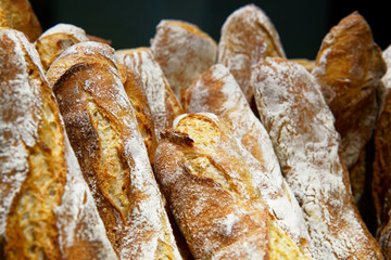Traditional Italian bread at stall in Florence