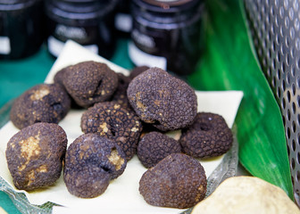 Raw truffle mushrooms at restaurant in Florence