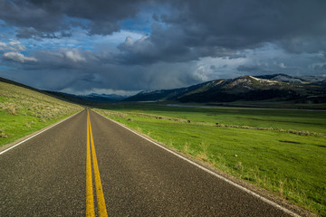 Lamar Valley mit Bison im Yellowstone Nationalpark, Wyoming