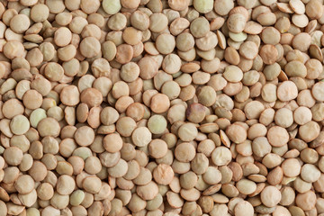 Lentil background