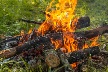Сampfire