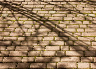 old cobblestone pavement close-up for background or texture.