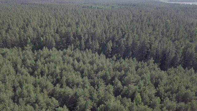 Engure Latvia Aerial view of countryside drone top view 4K UHD video