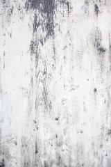 Abstract Luxury  White soft wood surface as background close up  with grain texture.