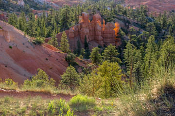 Aussicht im Bryce Canyon National Park, Utah