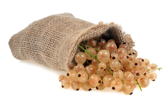 Sac en toile de groseilles blanches renvers&eacute;