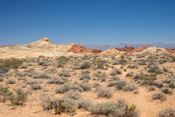 Fototapeta na wymiar Valley of Fire State Park, Nevada
