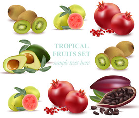 Summer fruits avocado, papaya, kiwi, pomegranate, fresh cocoa, guava Collection set Vector