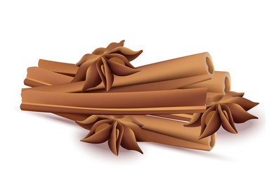 Cinnamon sticks and anise stars Vectos isolated on white