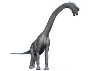 Brachiosaurus von links, 3D-Rendering